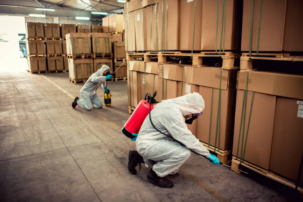 Best Mosquito Control Services  in Pine Ridge, SC