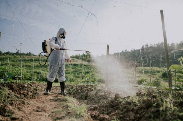 Best Pest Control for Homes  in Pine Ridge, SC