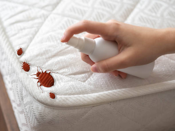 Pest Control Cost in Pine Ridge, SC
