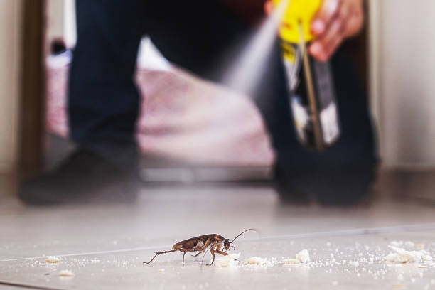 Wildlife Control Services in Pine Ridge, SC